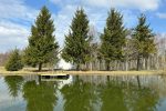 "Relax house by the stone" - romantiškas namelis su pirtele ir kubilu porai, šeimai ar mažai draugų grupei