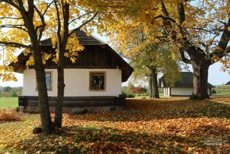 Vilos ir namelių nuoma.nuoma ant tvenkinio kranto - Ažvinčių sodyba